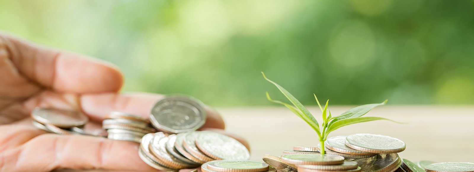 Tawazon-Web-Banner-Zakat-&-Tax