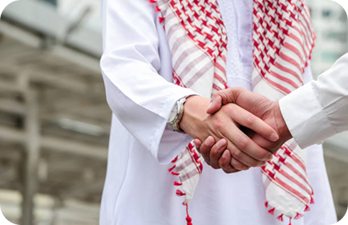 The Strategic Role Of CPAs In Driving Vision 2030 Goals